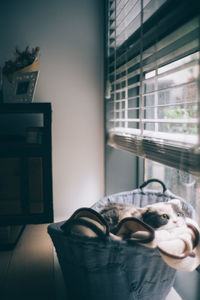 Portrait of man relaxing on window at home