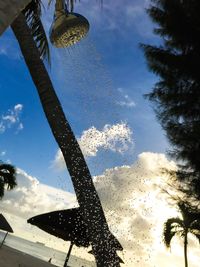 Low angle view of tree against sky