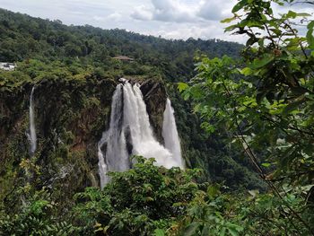 Scenic view of waterfall against trees in forest