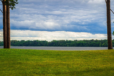 Scenic view of field against sky