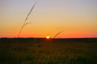 Scenic view of landscape at sunset