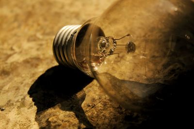 Close-up of light bulb on table