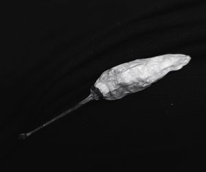 High angle view of leaf on table against black background