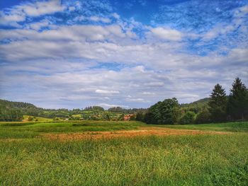Scenic view of field against sky