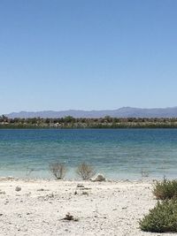 Scenic view of sea against clear blue sky