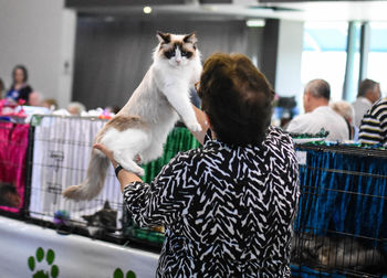 Rear view of woman holding cat