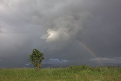 Scenic view of rainbow over field