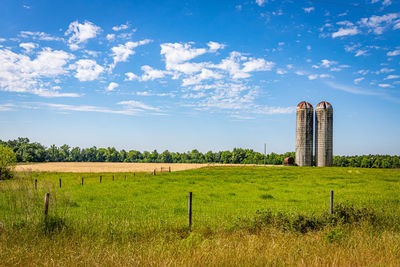 Scenic view of agricultural field against sky