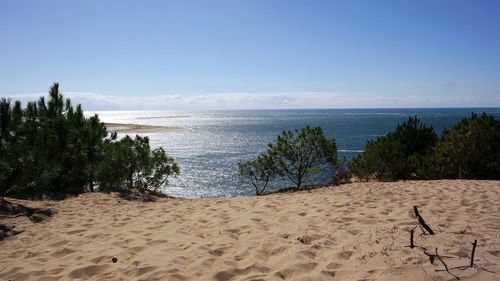 Scenic view of beach against clear sky