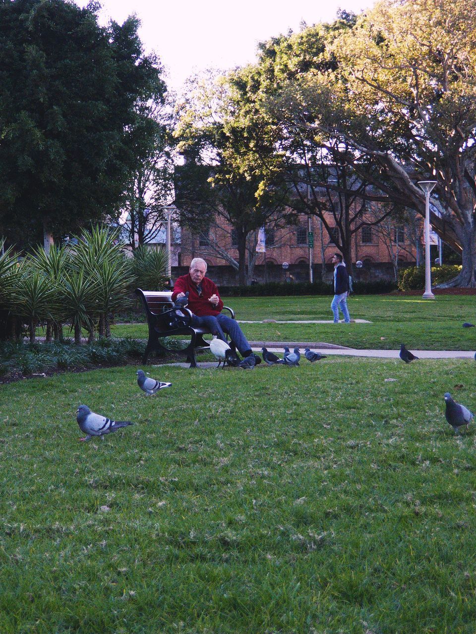 PEOPLE PLAYING WITH BALL ON FIELD