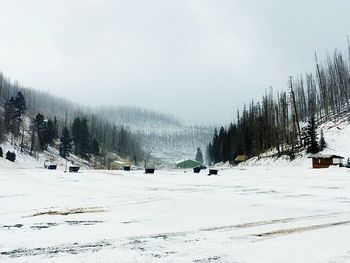 Scenic view of snow covered land against sky