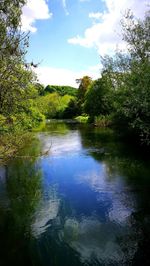 Scenic view of lake in forest against sky