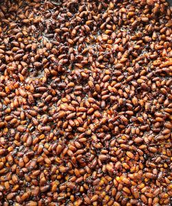 Full frame shot of roasted coffee