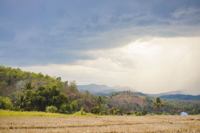 Scenic view of field against sky