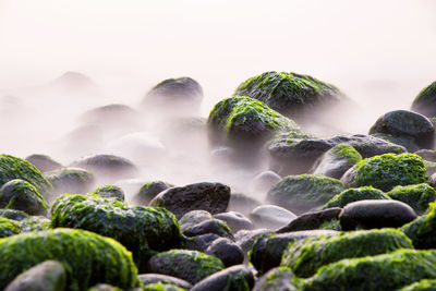 Close-up of rocks against sky