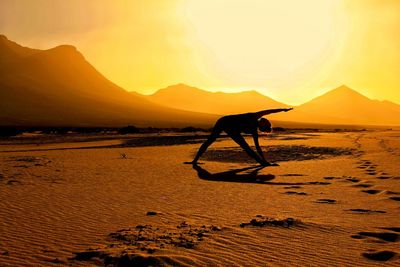 Silhouette horse on beach against sunset sky