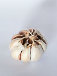 Close-up of garlic on white background