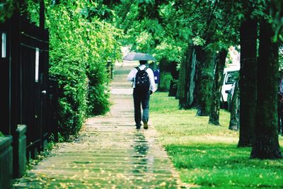 Rear view of man walking on grassland