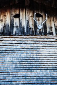 Low angle view of antler on patterned wall