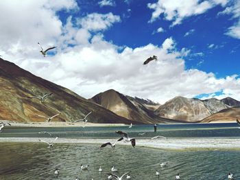 Birds flying over lake by mountains against cloudy sky