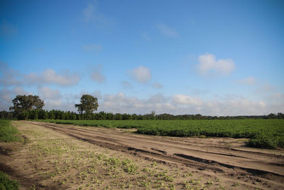 Scenic view of field against cloudy sky