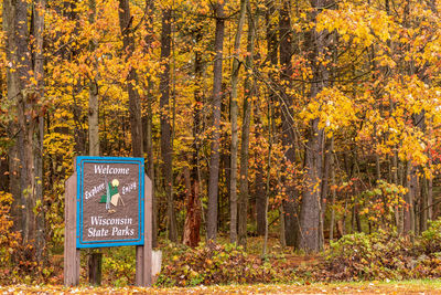 Information sign by trees in forest during autumn