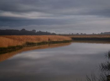 tranquil scene