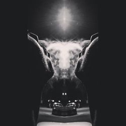 Close-up of man at night