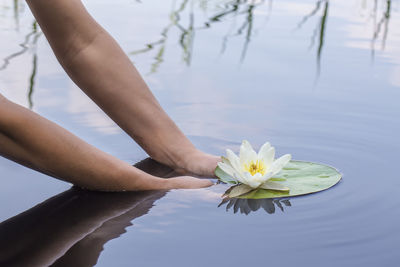 Low section of person standing by swimming pool in lake