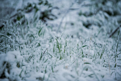 Full frame shot of snow on field