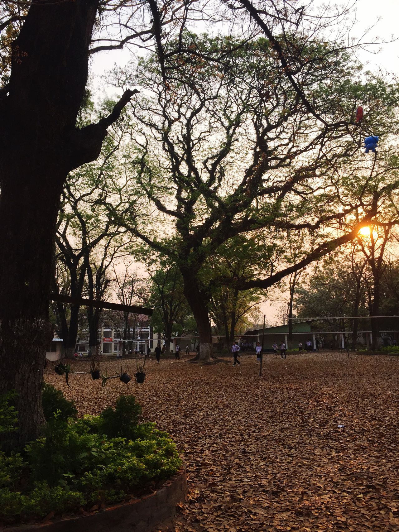 Vientiane High School