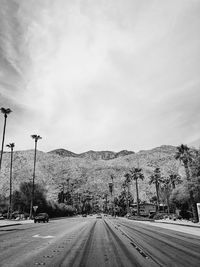 Empty road by trees against sky in city