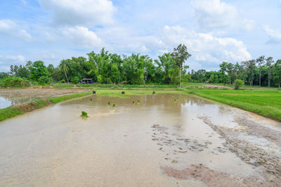 Scenic view of land against sky