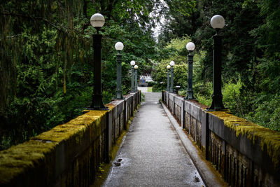 Narrow pathway along trees