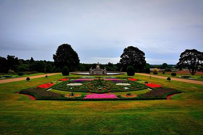 High angle view of formal garden