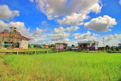 Houses on field against sky