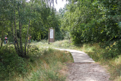 Road amidst trees and plants