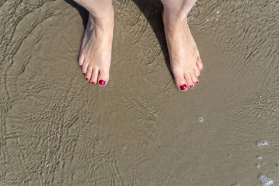 Low section of woman legs at beach