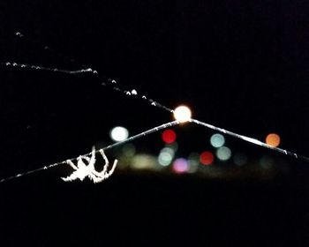 Defocused lights at night