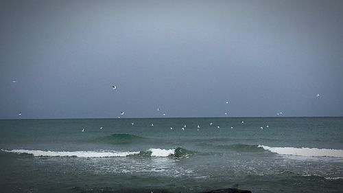 Scenic view of sea against clear sky