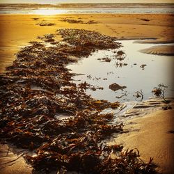 Scenic view of sea against sky at sunset