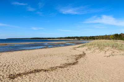 Scenic view of beach against blue sky