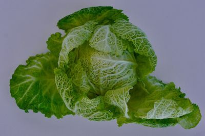 Close-up of strawberry over white background