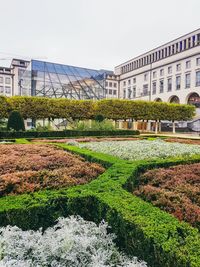 Plants growing in greenhouse against sky