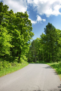 Road passing through trees