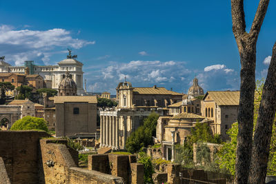 Buildings in city