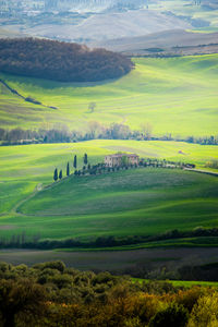 Scenic view of agricultural field