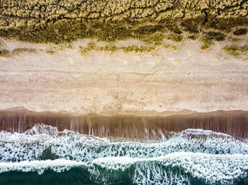 Aerial view of beach