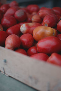 Close-up of fresh tomatoes at stall