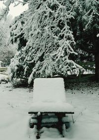 Snow covered trees on field during winter